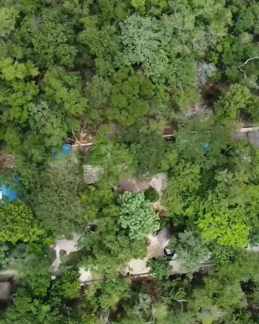 Aerial view of jungle land