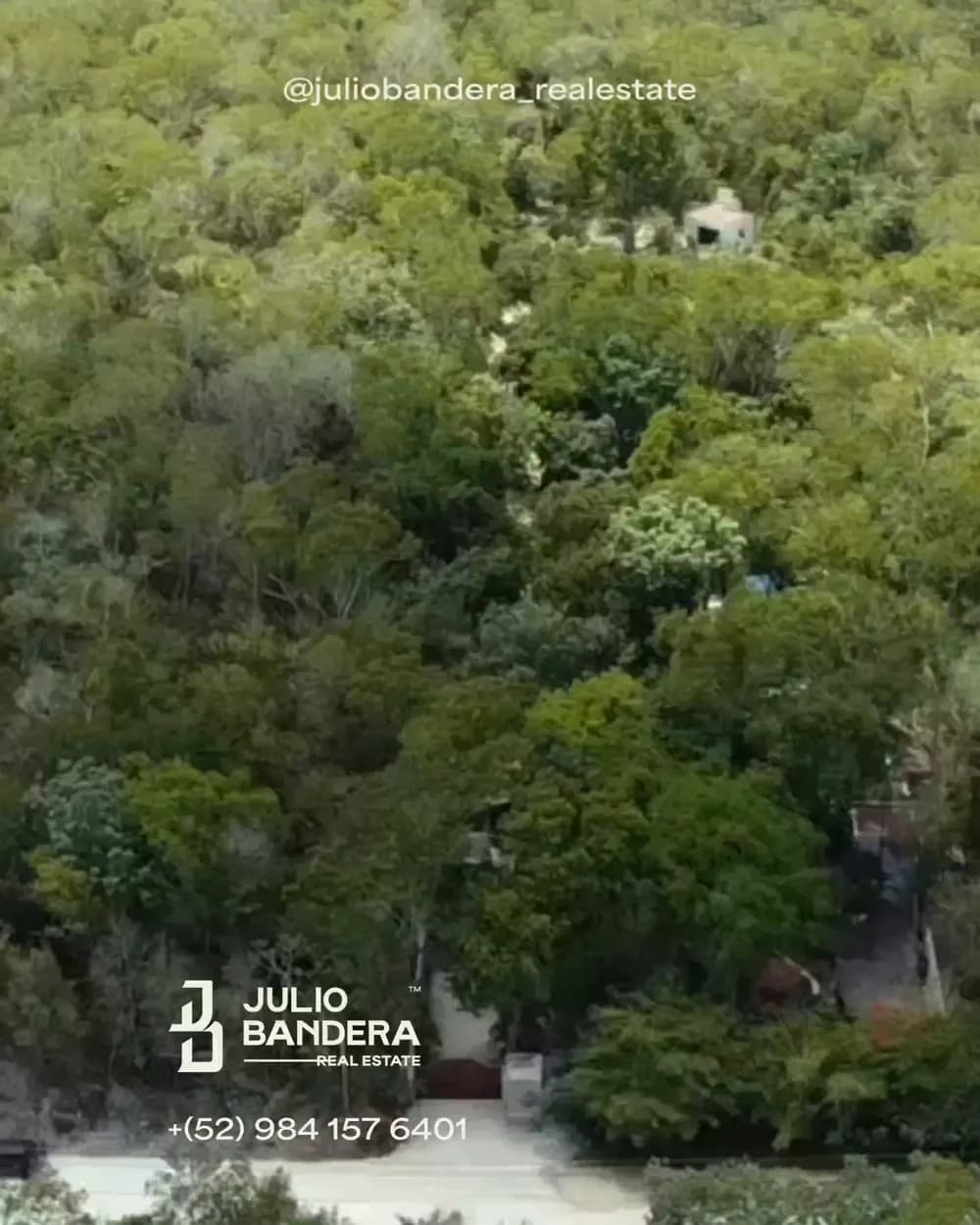 Jungle seen from a drone